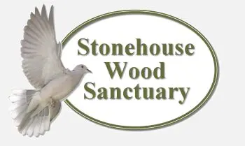 stonehouse wood sanctuary