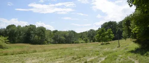 stonehouse wood sanctuary