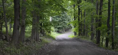 stonehouse wood sanctuary